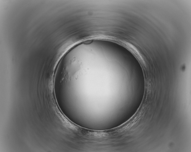X0000096161244200801251120