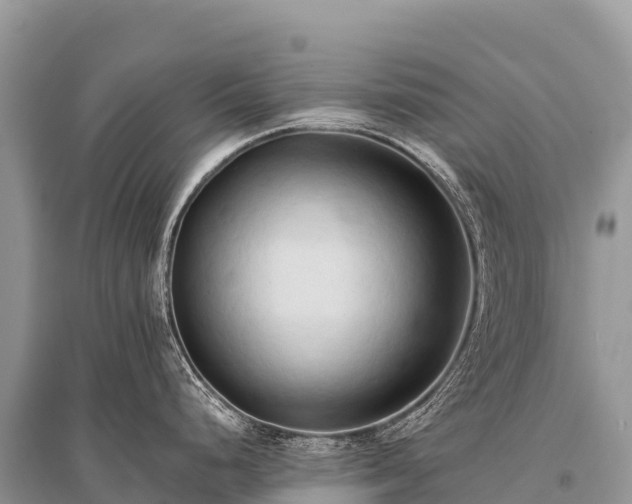 X0000096161248200801251120