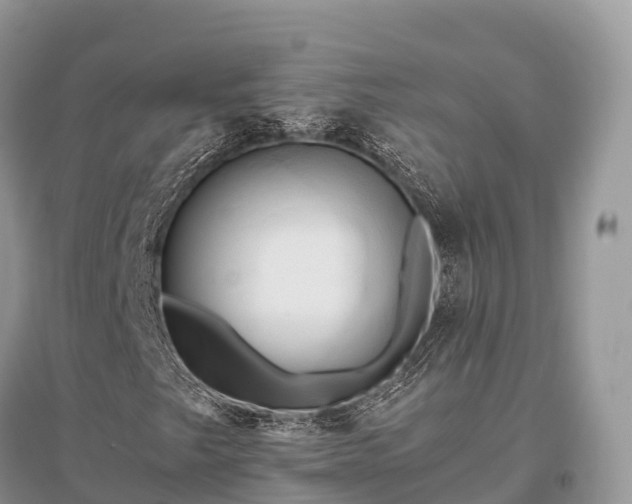 X0000096161249200801251120