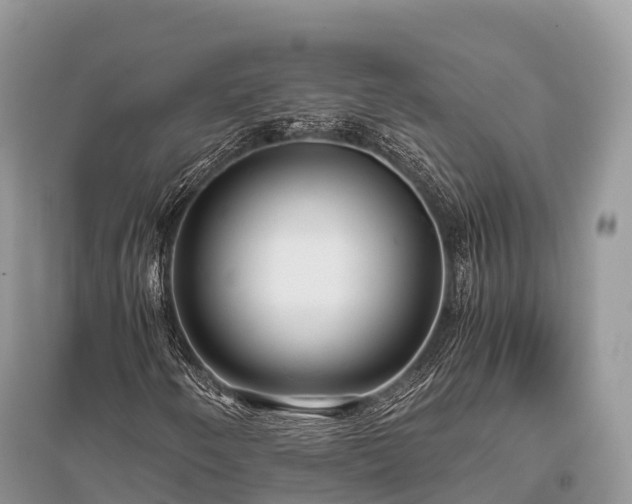 X0000096161250200801251120