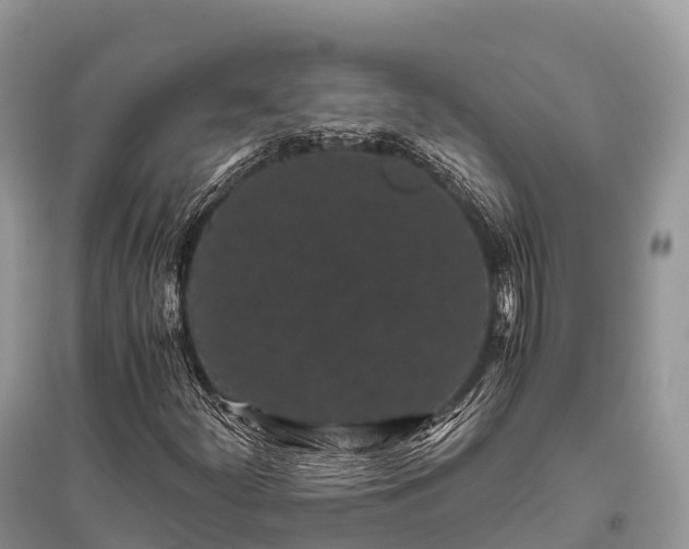 X0000096161252200801251119