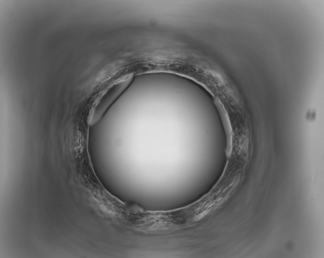 X0000096161253200801251119