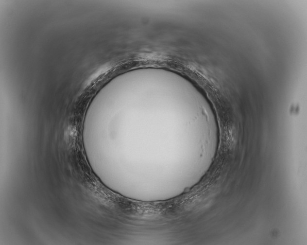 X0000096161254200801251119