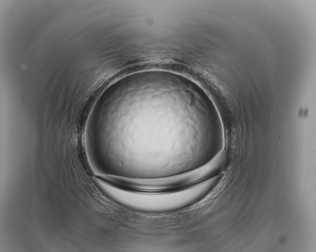 X0000096161257200801251119
