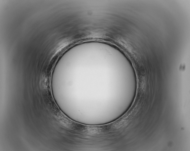 X0000096161258200801251119
