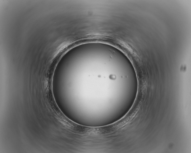 X0000096161259200801251119