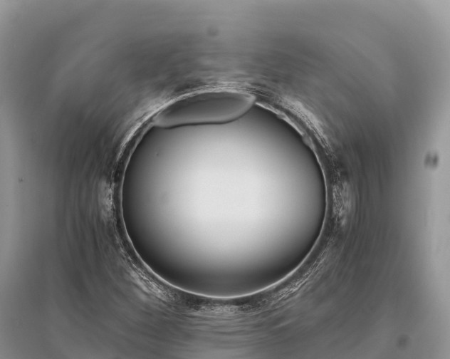 X0000096161260200801251119
