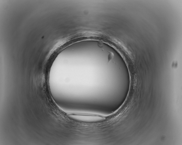 X0000096161261200801251119