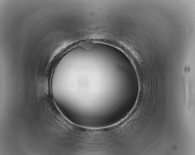 X0000096161262200801251119