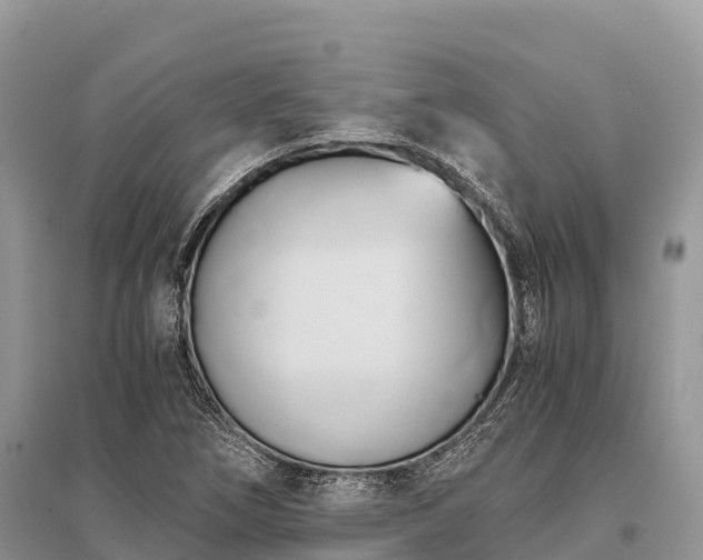 X0000096161266200801251119