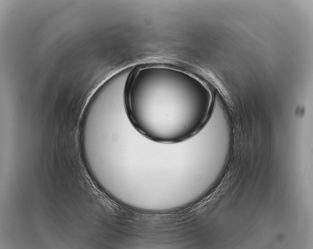 X0000096161268200801251119