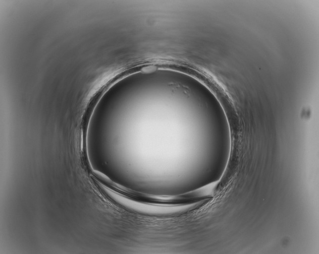 X0000096161269200801251119