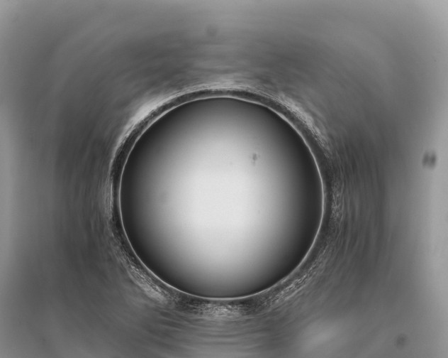 X0000096161270200801251119