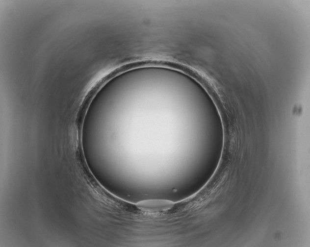 X0000096161271200801251119