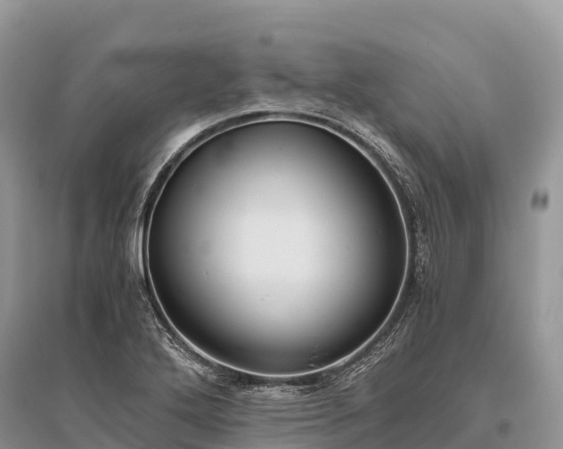 X0000096161272200801251119