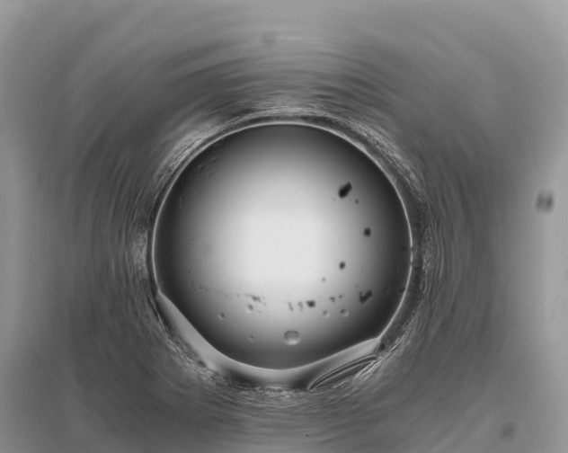 X0000096161273200801251119