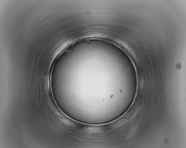 X0000096161274200801251119