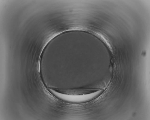 X0000096161276200801251119