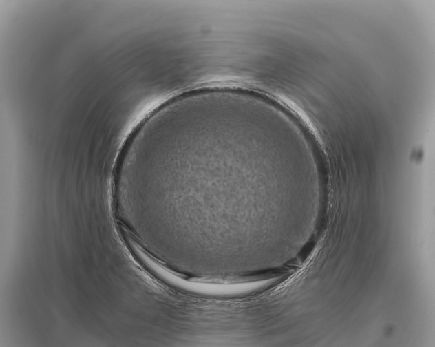 X0000096161277200801251119