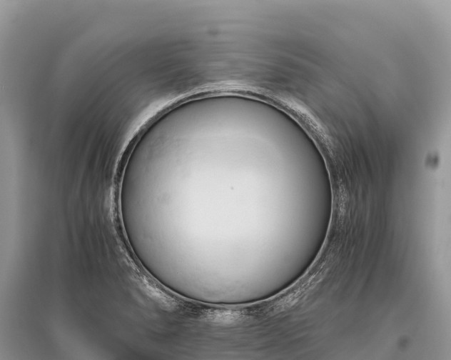 X0000096161278200801251119