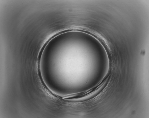 X0000096161280200801251119