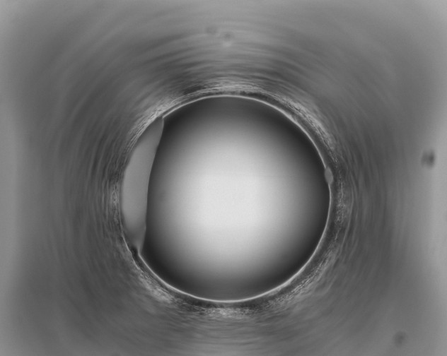 X0000096161281200801251119