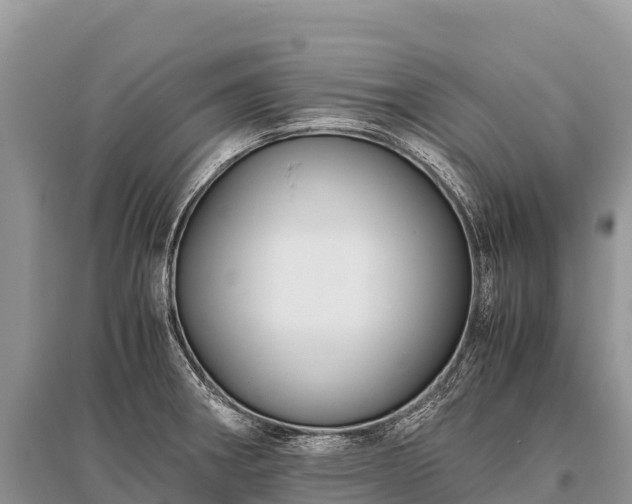 X0000096161282200801251119