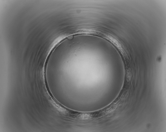 X0000096161283200801251119