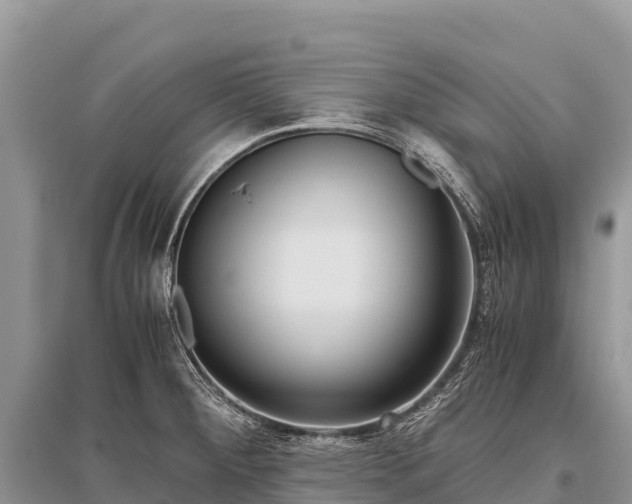 X0000096161284200801251119