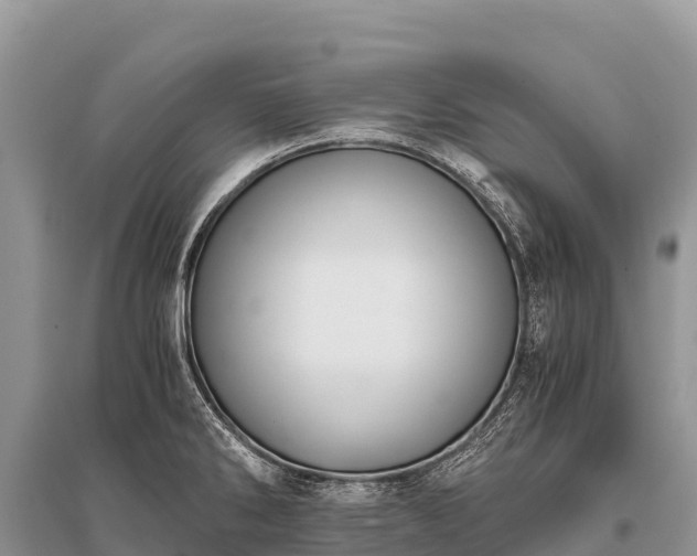 X0000096161286200801251119