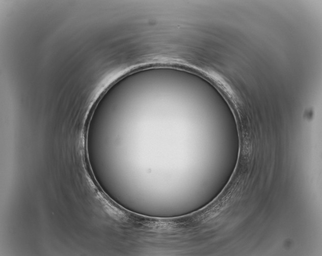 X0000096161287200801251119