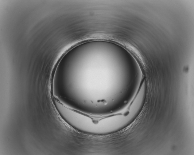 X0000096161288200801251119