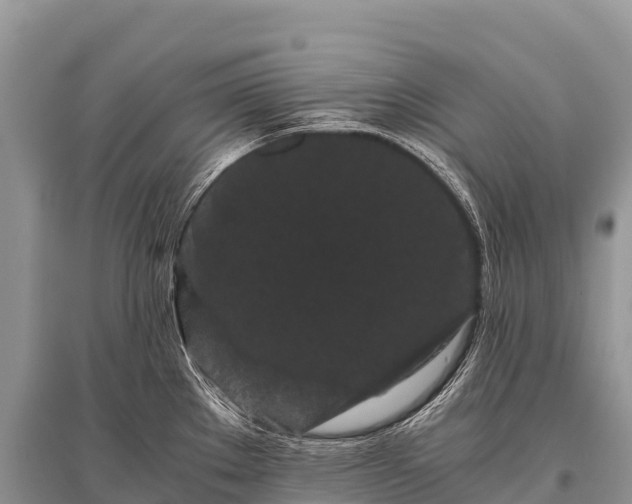 X0000096161289200801251119