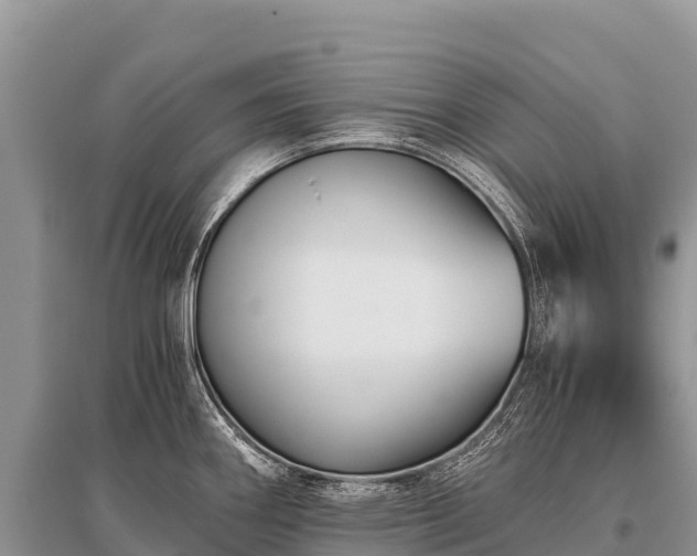X0000096161290200801251119