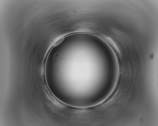 X0000096161292200801251119