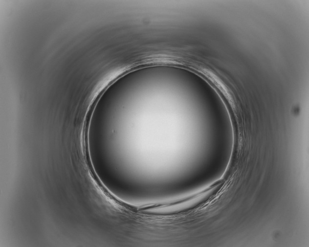 X0000096161293200801251119