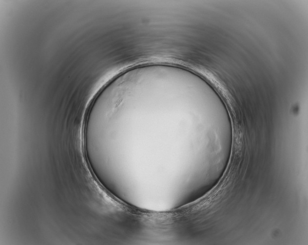 X0000096161294200801251119