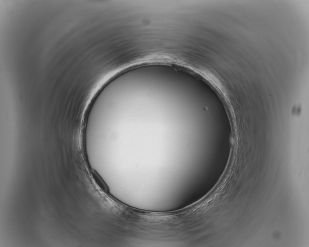 X0000096161296200801251119