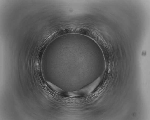 X0000096161298200801251118