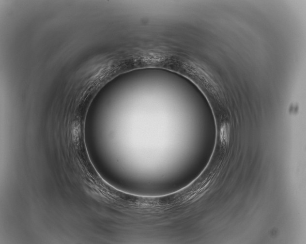 X0000096161299200801251118