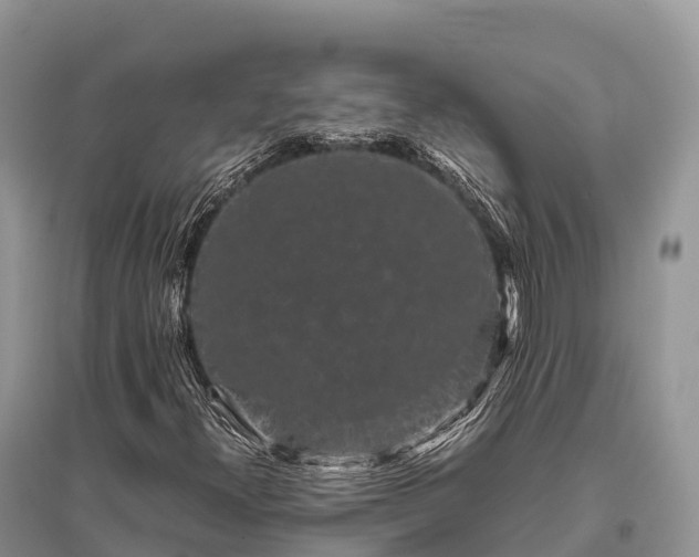 X0000096161300200801251118