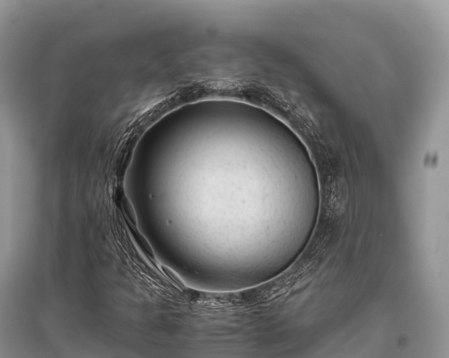 X0000096161301200801251118