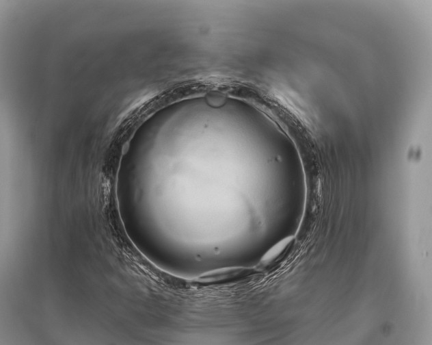 X0000096161302200801251118