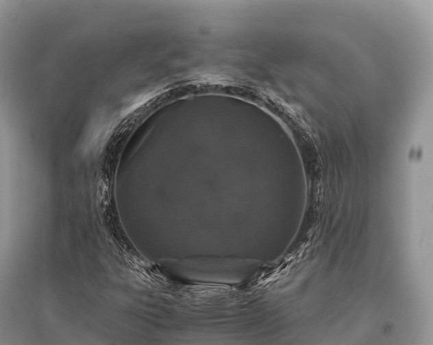 X0000096161303200801251118
