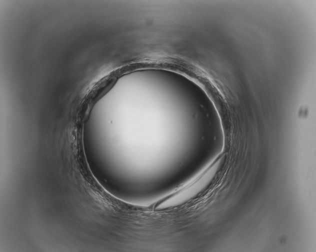 X0000096161304200801251118