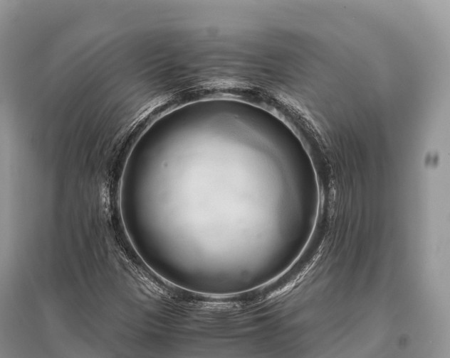 X0000096161305200801251118