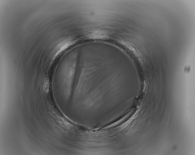 X0000096161306200801251118