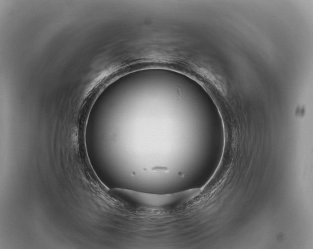 X0000096161307200801251118