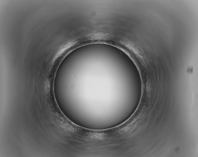 X0000096161309200801251118