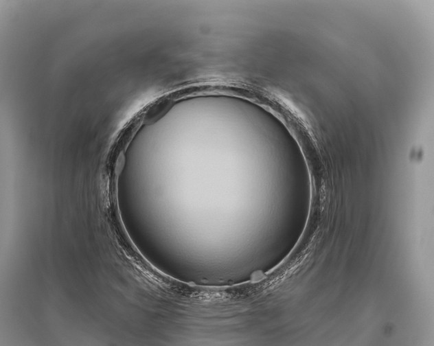 X0000096161310200801251118